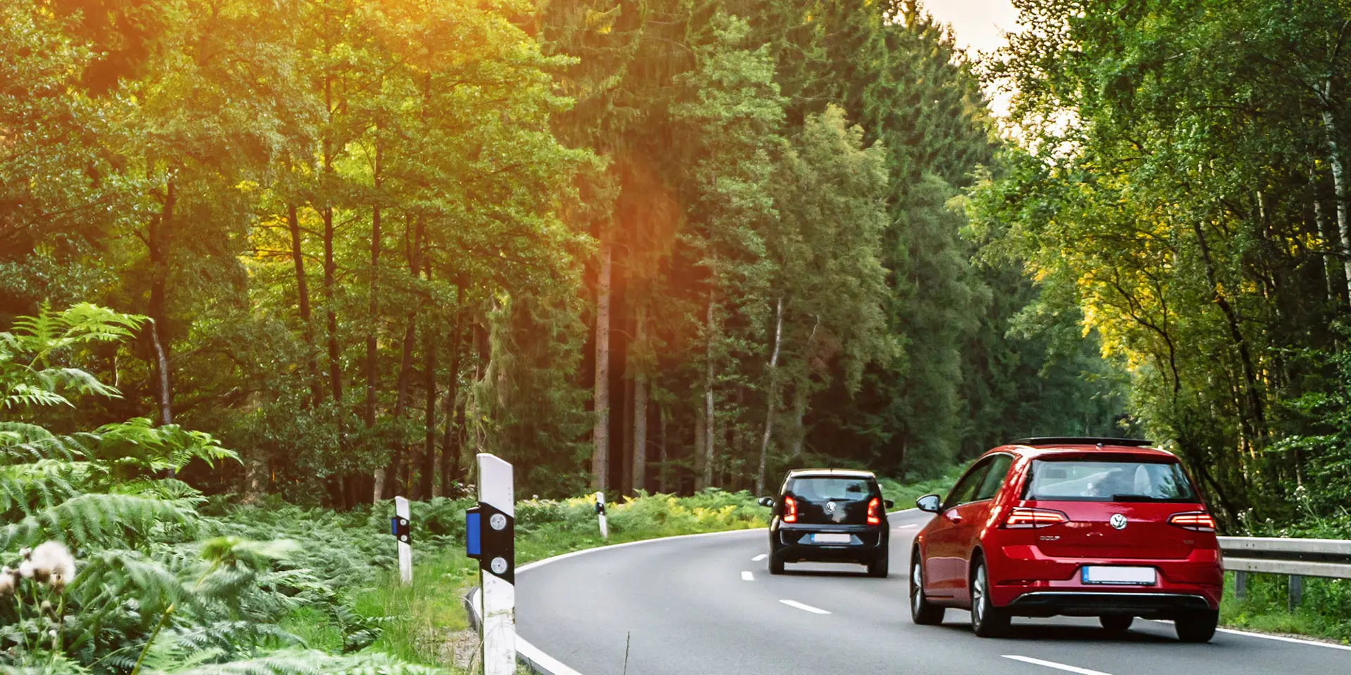En rød og en sort bil kører ude på en vej i grøn skov mens solen skinner. 